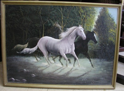 Horses 5